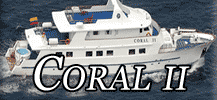 Coral II button